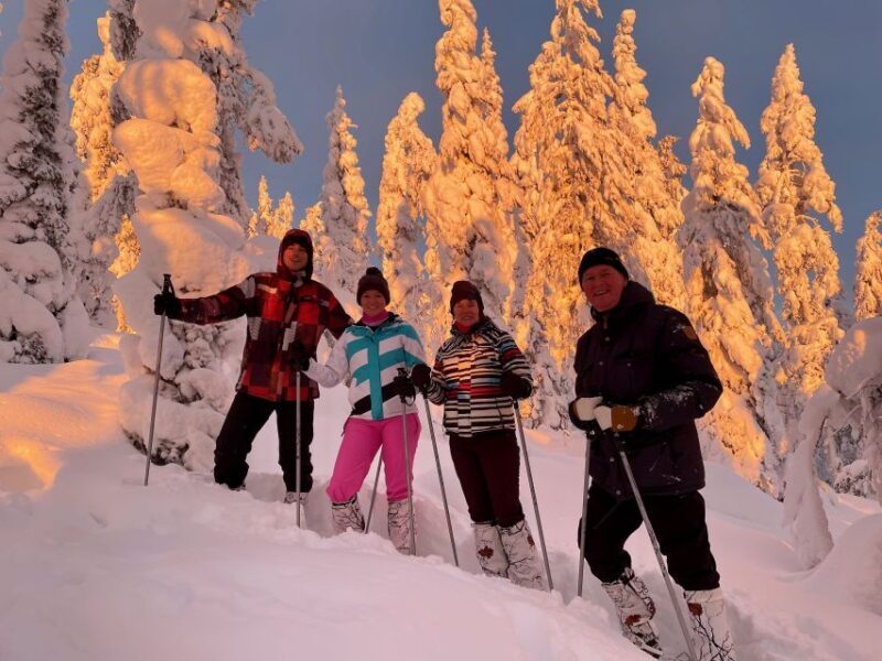 Levi: Lakeside forest snowshoeing - Authentic Reviews: What Past Participants Say