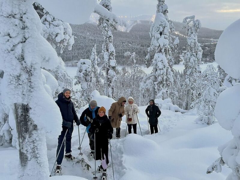 Levi: Lakeside forest snowshoeing - The Sum Up: Who Will Love This Tour?