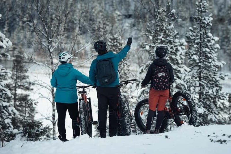 Levi, Lapland: E-Fatbike trip to white nature - Practicalities and Value