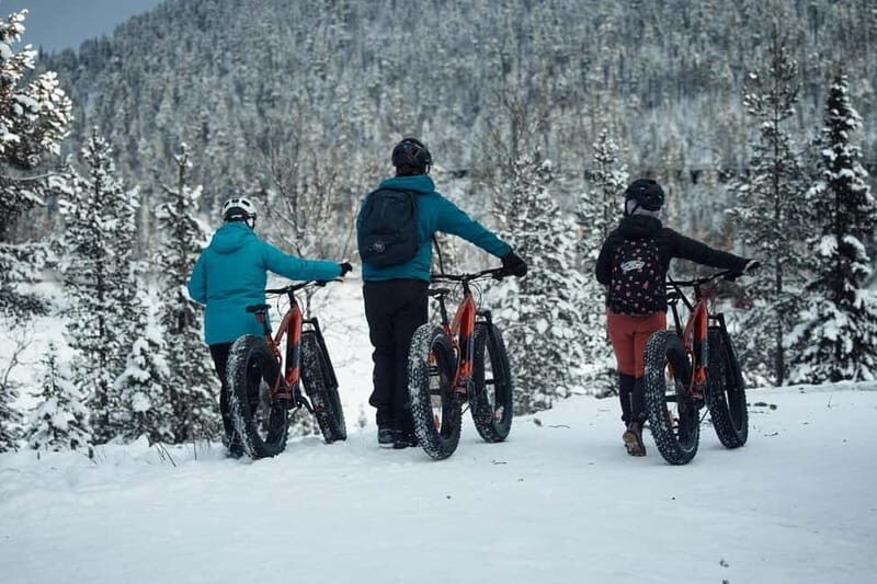 Levi, Lapland: E-Fatbike trip to white nature - Who Will Love This Tour?