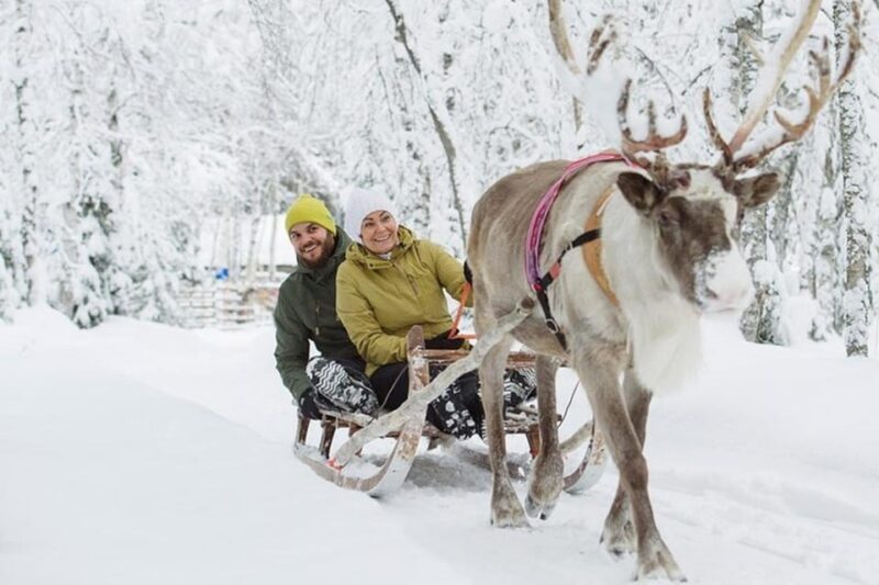 Levi: Lapland Reindeer and Husky Safari - What Makes This Tour Special?