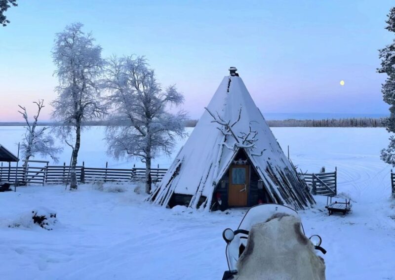Levi: Lapland Reindeer Safari - A Closer Look at the Reindeer Safari Experience