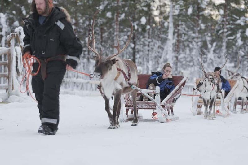 Levi: Lappish Reindeer Sled Ride 3 km - Key Points