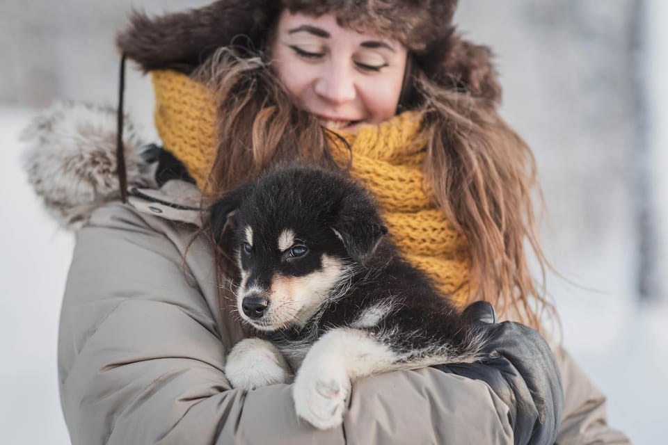 Levi: Nature Walk with Huskies - The Sum Up