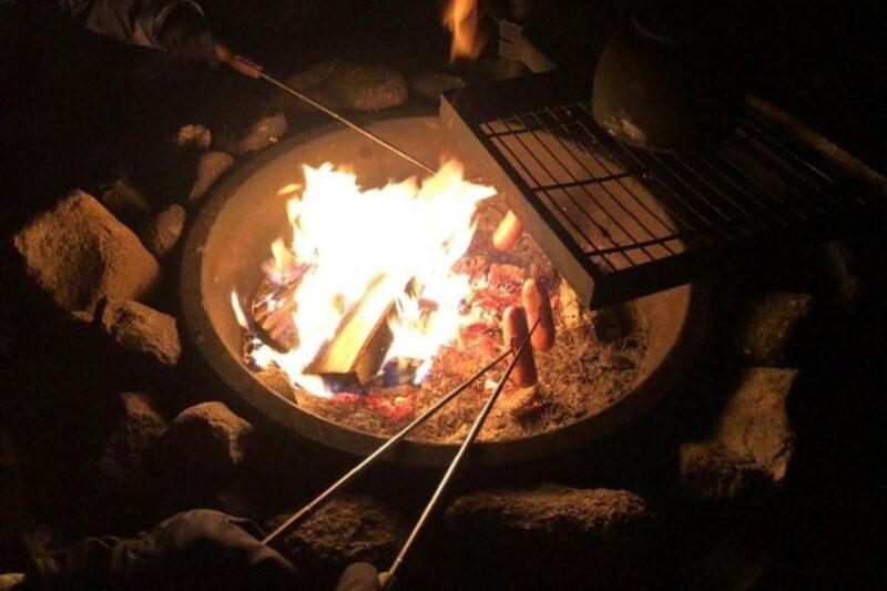 Levi: Northern Lights Hunt Including Campfire Snacks - An Overview of the Experience