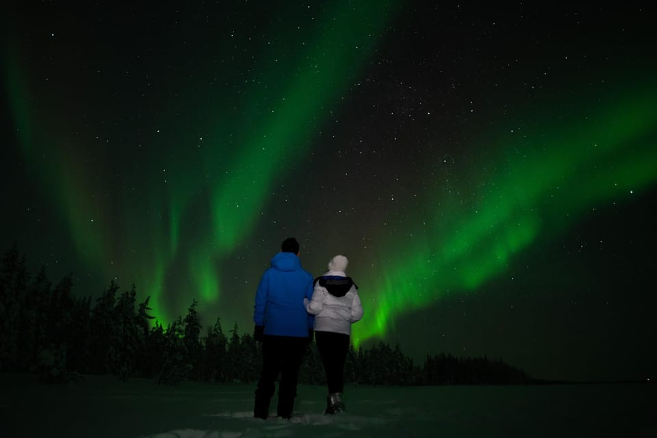Levi: Northern Lights Sledge Ride - Key Points