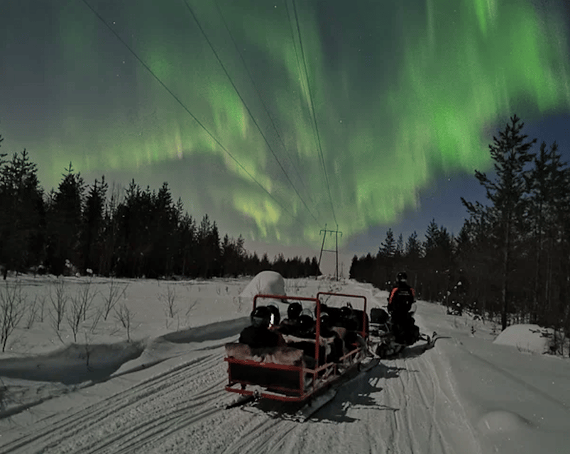 Levi: Northern Lights Sledge Ride - Why This Tour Stands Out