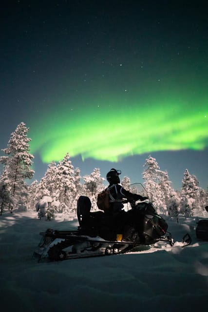 Levi: Northern Lights Sledge Ride - Final Thoughts