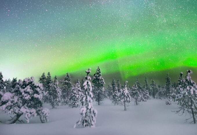 Levi: Northern Lights Snowmobile Tour With Snacks and Drinks - Booking Information