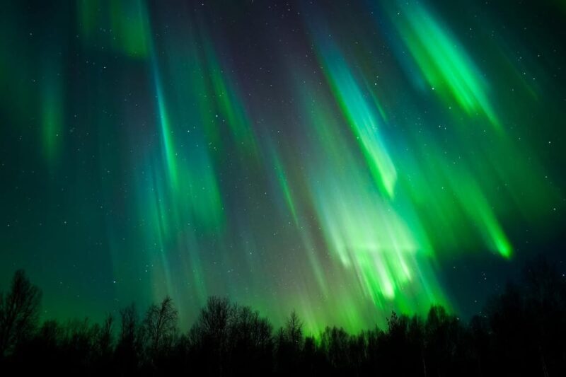 Levi: Northern Lights Tour with Guaranteed Sightings - The Sum Up