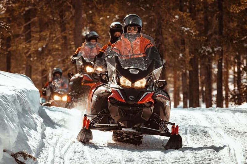 Levi: One Hour Snowmobiling Experience - Key Points