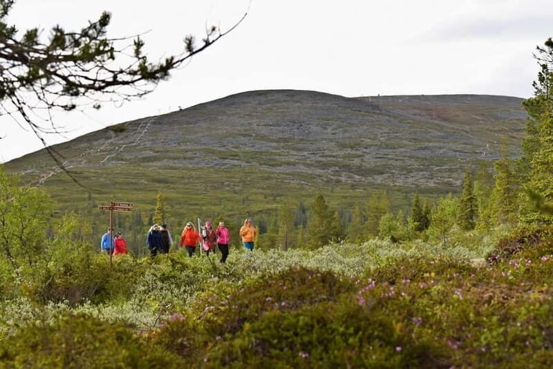 Levi: Pallas Panoramic Hike - Key Points