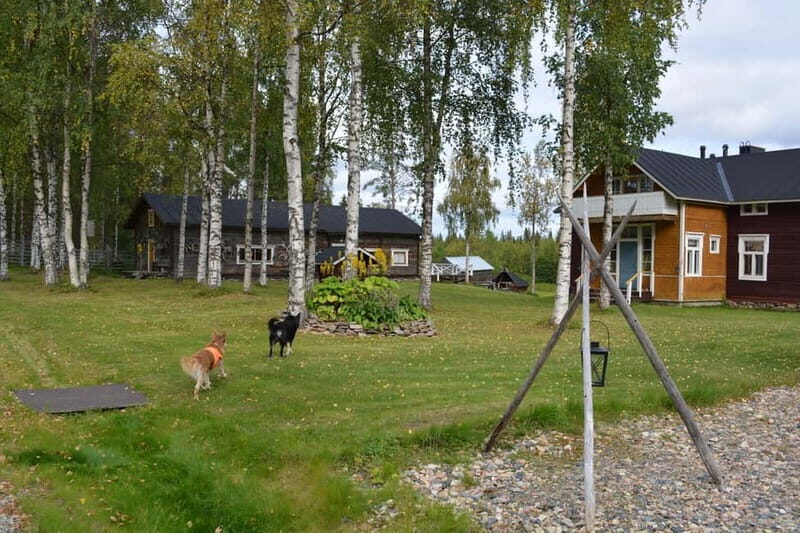 Levi: Peaceful Paddle on Ounasjoki River - A Detailed Look at the Levi: Peaceful Paddle Experience