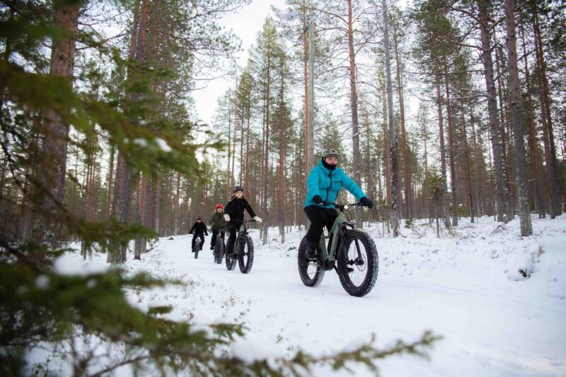 Levi: Reindeer Farm E-Fatbike Safari - The Sum Up