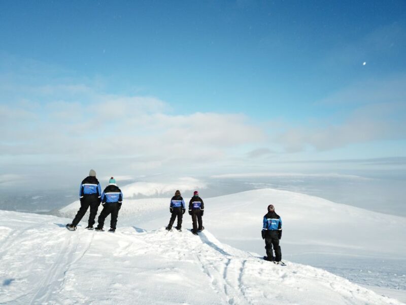 Levi: Scenic Levi Snowshoe Trip - Practical Tips for Your Snowshoe Adventure
