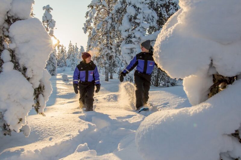 Levi: Scenic Levi Snowshoe Trip - The Sum Up