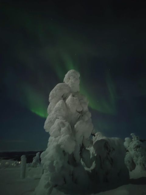 Levi: Search for Northern Lights in snowmobile sleigh - Is It Worth the Price?