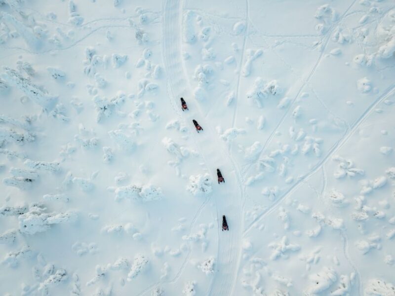 Levi: Snowmobile Safari for Adults - Price and Value