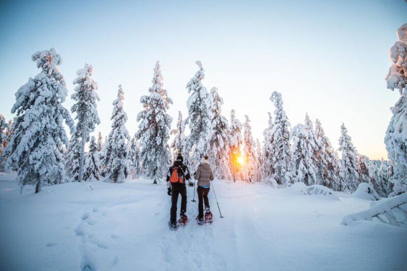 Levi: Snowshoe Adventure in the Wilderness - Whats Included in the Tour