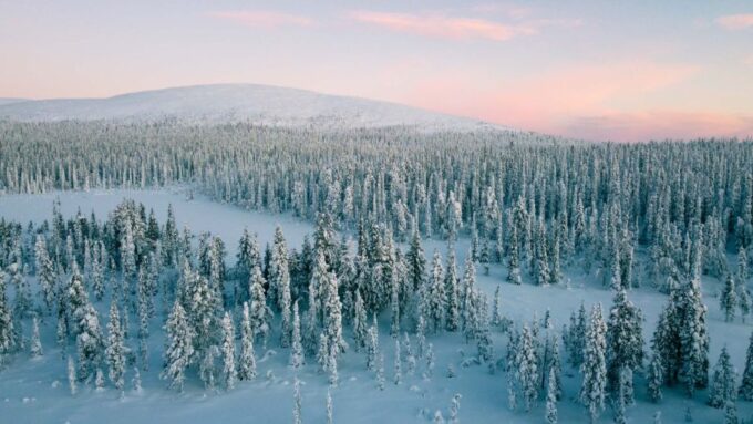 Levi: Snowshoe Adventure in the Wilderness - Customer Reviews and Ratings
