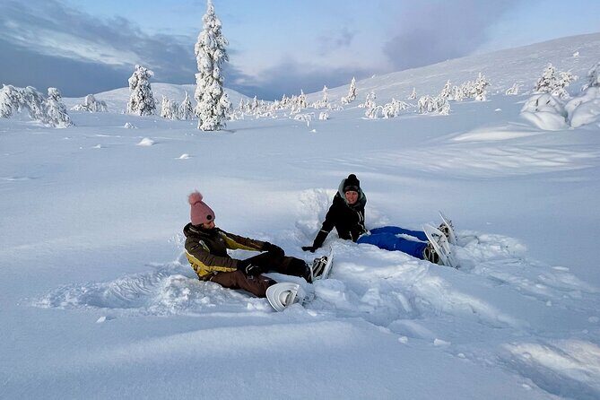 Levi: Snowshoeing adventure in the National Park - Authenticity and Small-Group Charm
