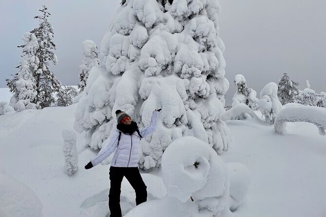Levi: Snowshoeing adventure in the National Park - Value and Who Will Love This Experience
