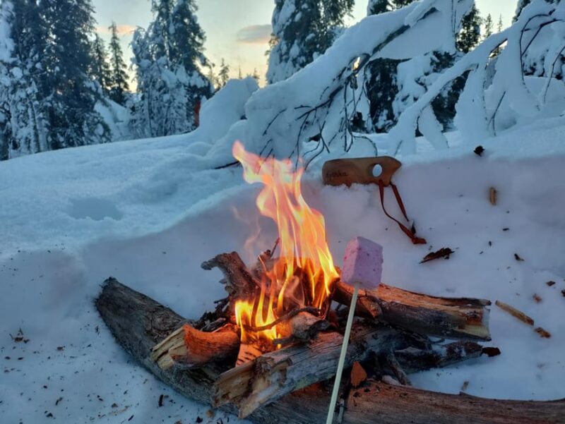 Levi: Snowshoeing and Marshmallow Grilling in the Snow - Key Points