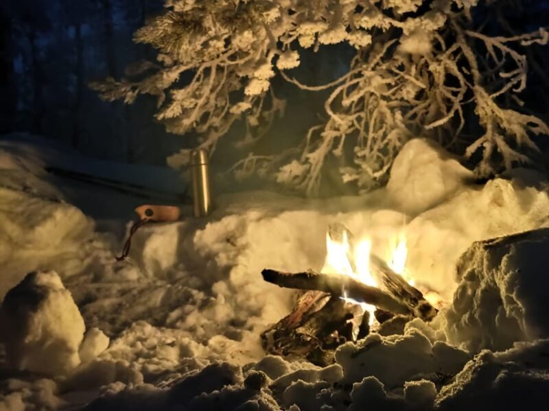 Levi: Snowshoeing and Marshmallow Grilling in the Snow - An Authentic Arctic Outing in Levi