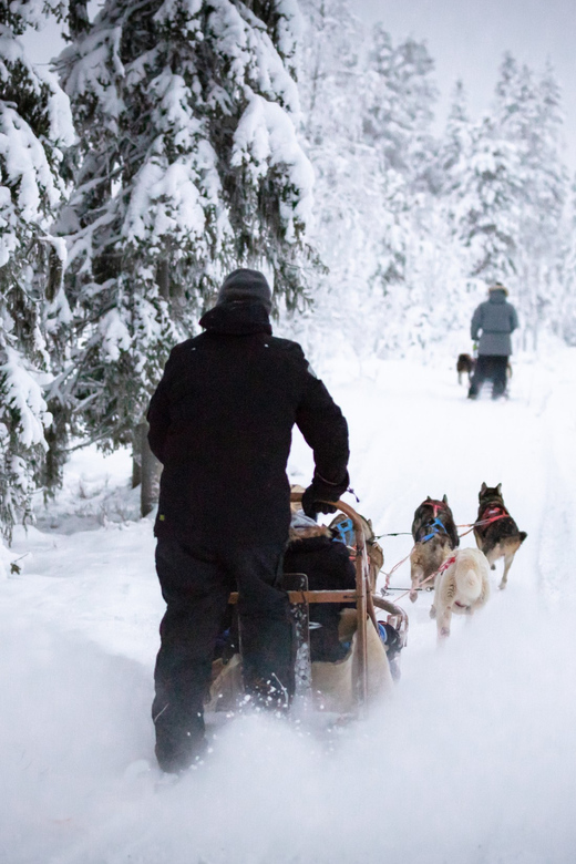 Levi: Winter Highlights Family Day - Who Should Consider This Tour?