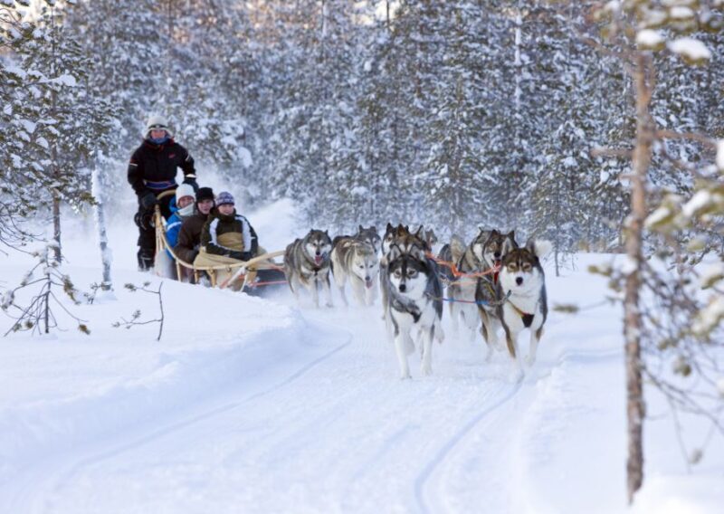 Levi: Winter Highlights Tour with Snowmobiling - Starting with Comfort and Convenience
