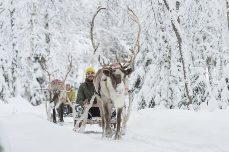 Levi: Winter Highlights Tour with Snowmobiling - Reindeer and Husky Sledding: Authentic Arctic Encounters