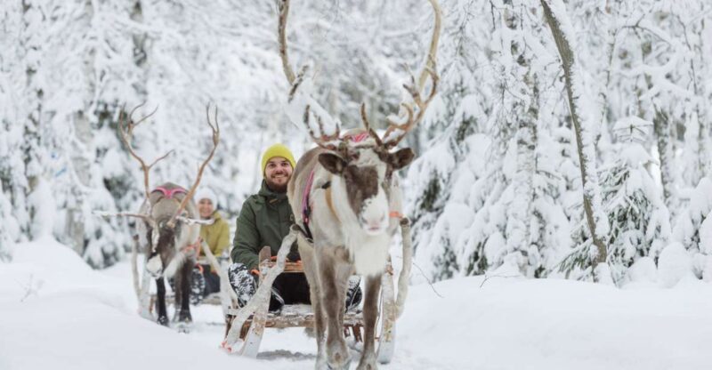 Levi: Winter Highlights Tour with Snowmobiling - The Tour’s Pacing and Duration