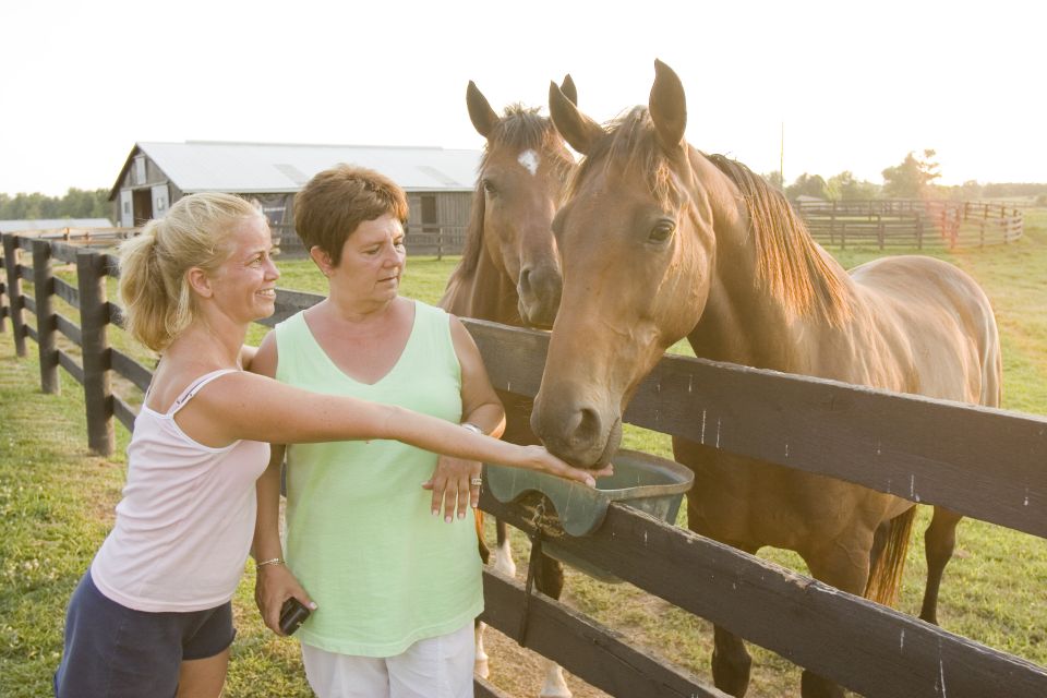 Lexington: Horse Farm Tour and Keeneland Race Track Visit - Keeneland Race Track: A Historic Gem