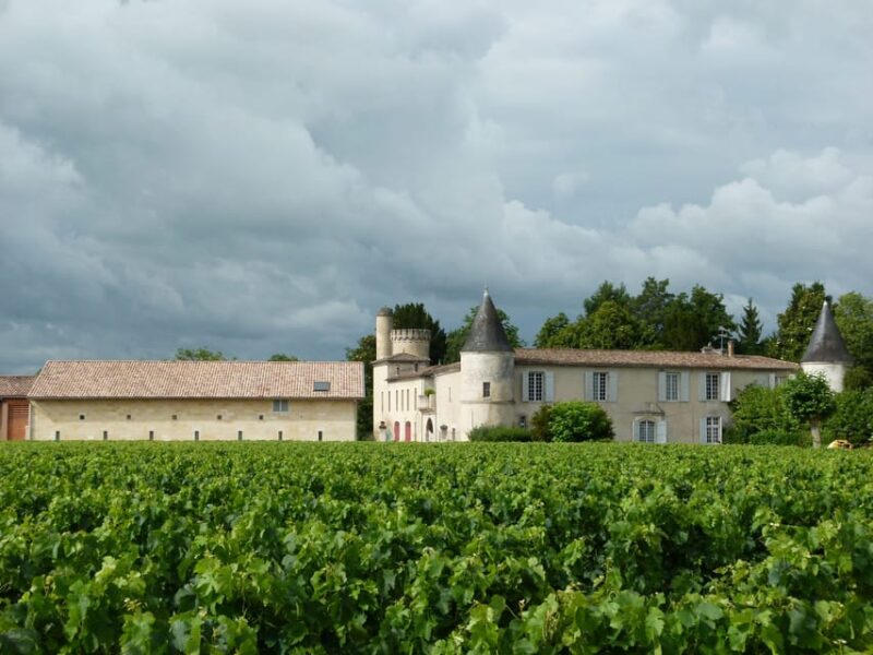 Libourne: Winery Tour With Wine and Chocolate Tasting - Exploring the Vineyard, Vat Room, and Barrel Cellar