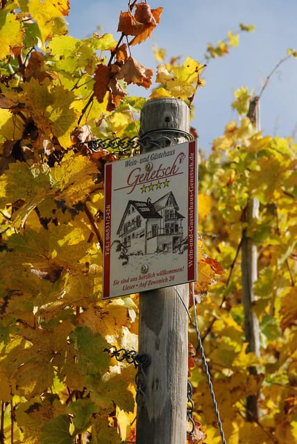 Lieser: covered wagon ride, the rolling wine tasting with picnic basket - Who Will Love This Tour?