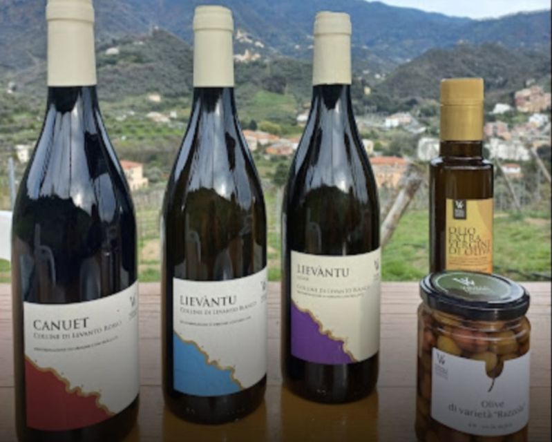 Lievanto Wine Experience: Tour & Tasting in Levanto Valley - Key Points