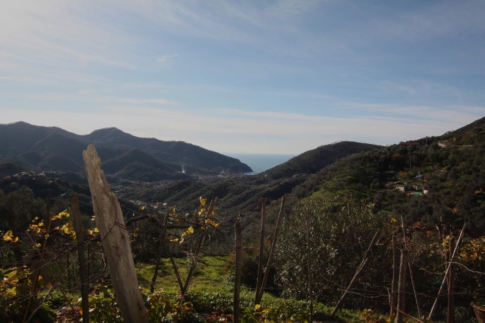 Lievanto Wine Experience: Tour & Tasting in Levanto Valley - Visiting Picturesque Levanto Valley Villages