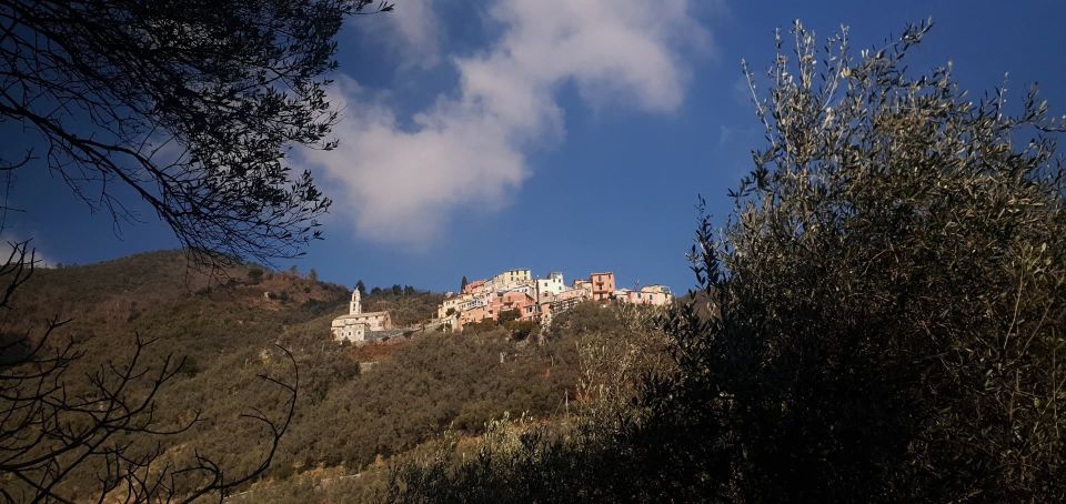 Lievanto Wine Experience: Tour & Tasting in Levanto Valley - Five Senses Experience in the Vineyards