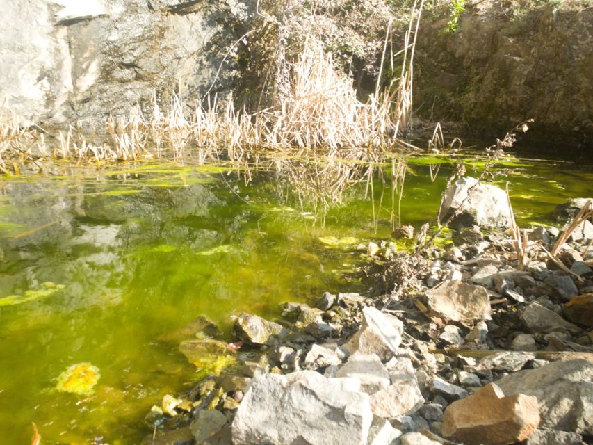 Lievanto Wine Experience: Tour & Tasting in Levanto Valley - Options for Hiking and Walking Enthusiasts