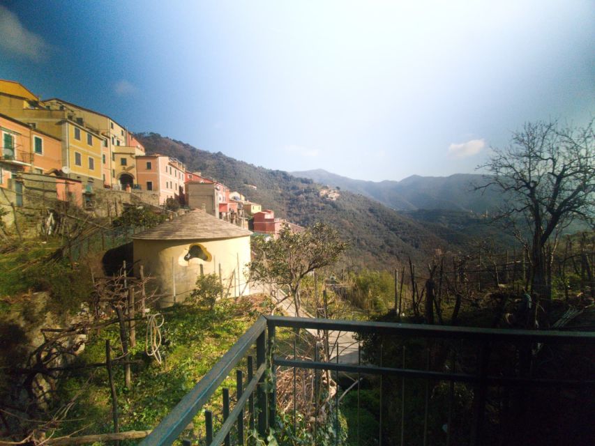 Lievanto Wine Experience: Tour & Tasting in Levanto Valley - Frequently Asked Questions