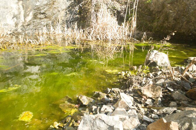 Lievàntu Wine Experience - Key Points