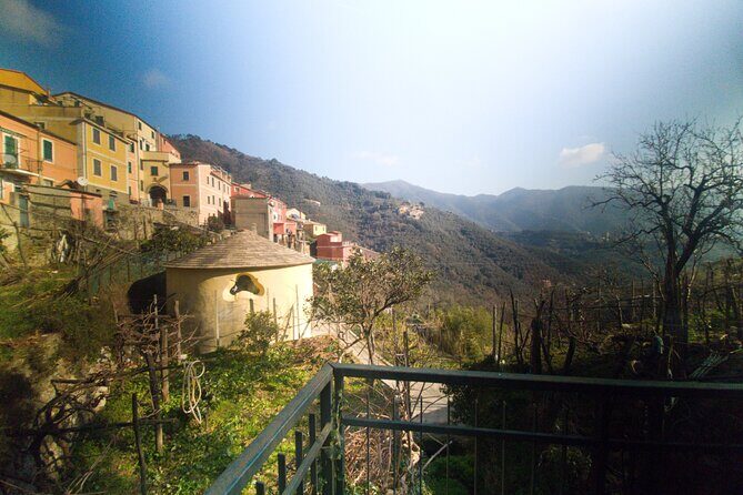 Lievàntu Wine Experience - Frequently Asked Questions