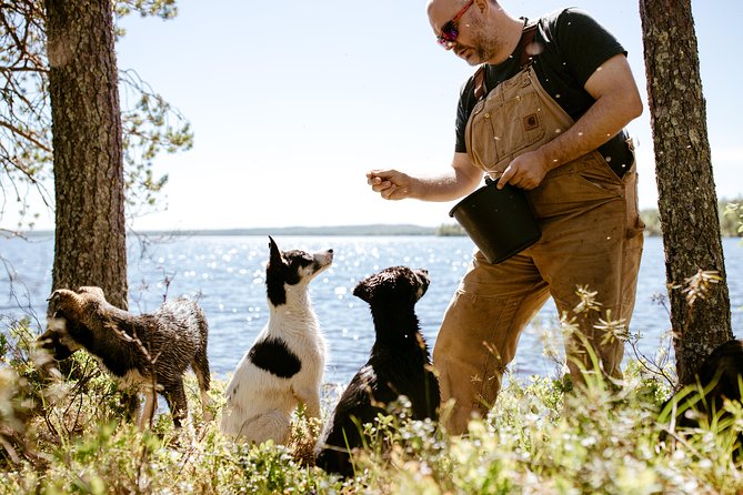 Life of the Husky, Kennel Tour and Husky Ride in Summer - Overview of the Experience