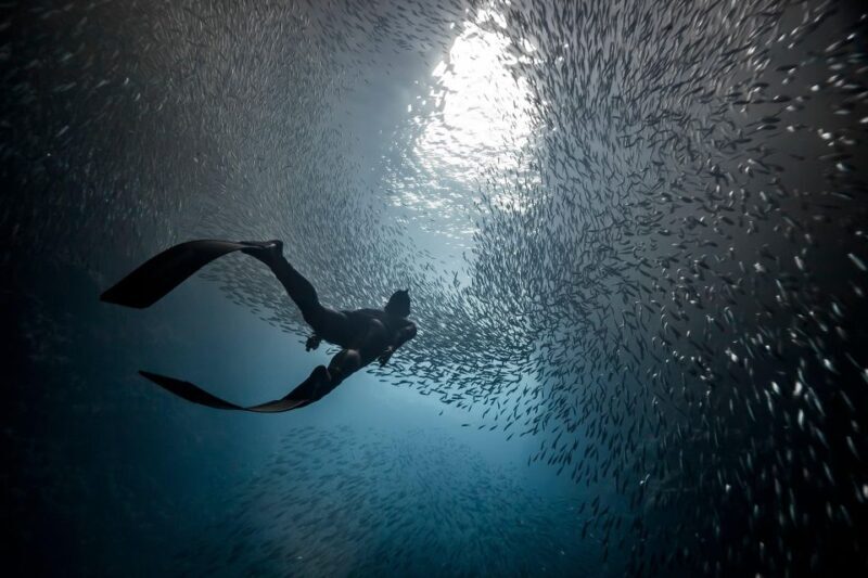 Ligaria Beach: Discover Free Diving (Apnea) - What to Expect from Your Ligaria Freediving Experience