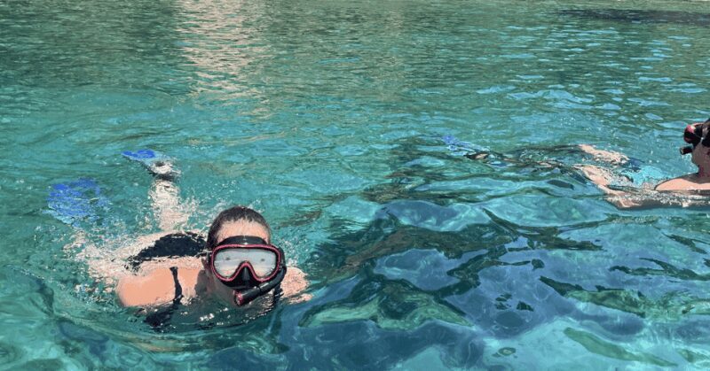 Ligaria: Snorkeling trip with Motor Boat around Agia Pelagia - Who Will Love This Tour?