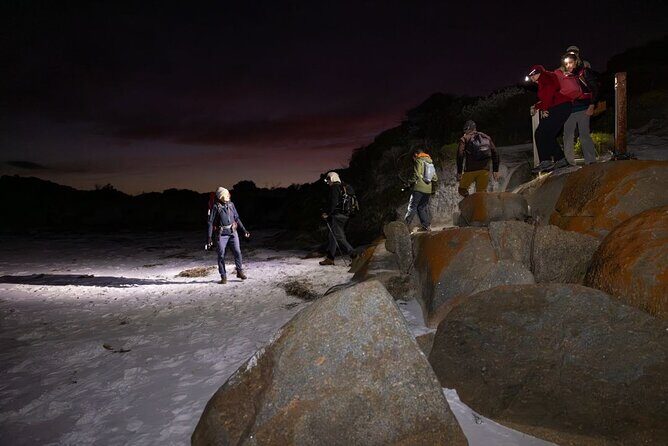 Lighting the Sound Uredale Twilight Hike - Who Is This Tour Best For?