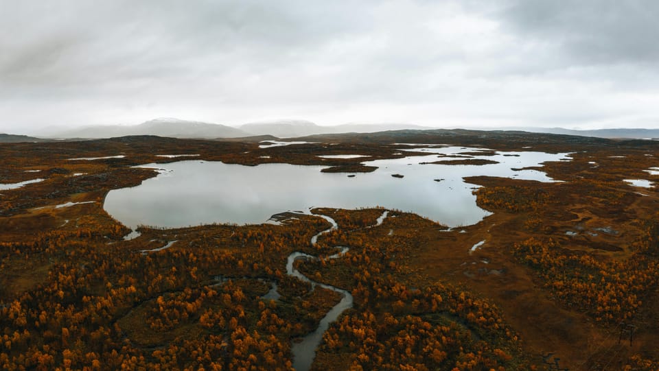 Lightweighted walk through wild Arctic Nature - Authentic Reviews & Traveler Insights