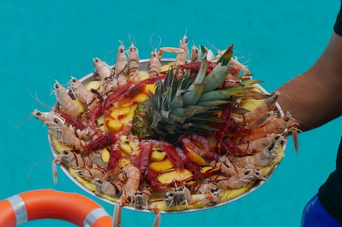 Liliana's Boat Trip With Lunch Included - Discover Scenic Swimming Spots
