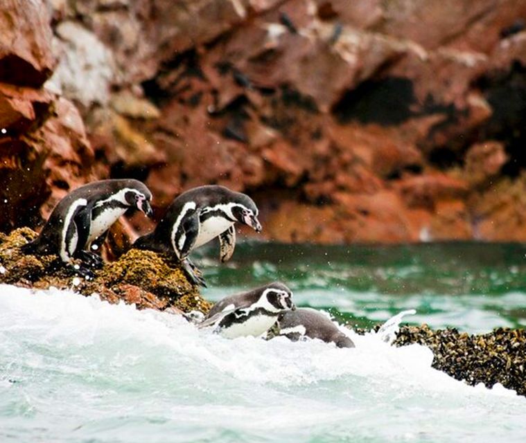 Lima: 2-Day Tour to Paracas, Pisco Vineyards, and Huacachina - Inclusions and Exclusions