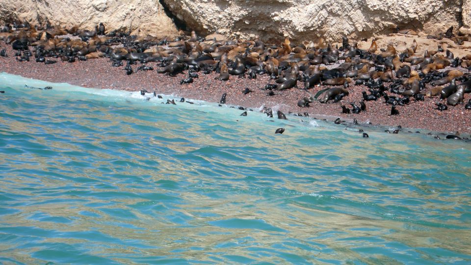 Lima: Ballestas & Huacachina Day Trip W/ Nazca Lines Flight - Recommended Packing and Attire